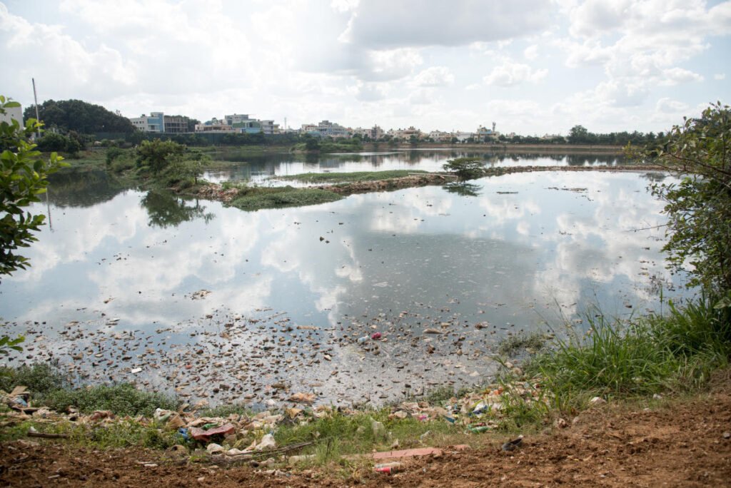 Water Body Restoration