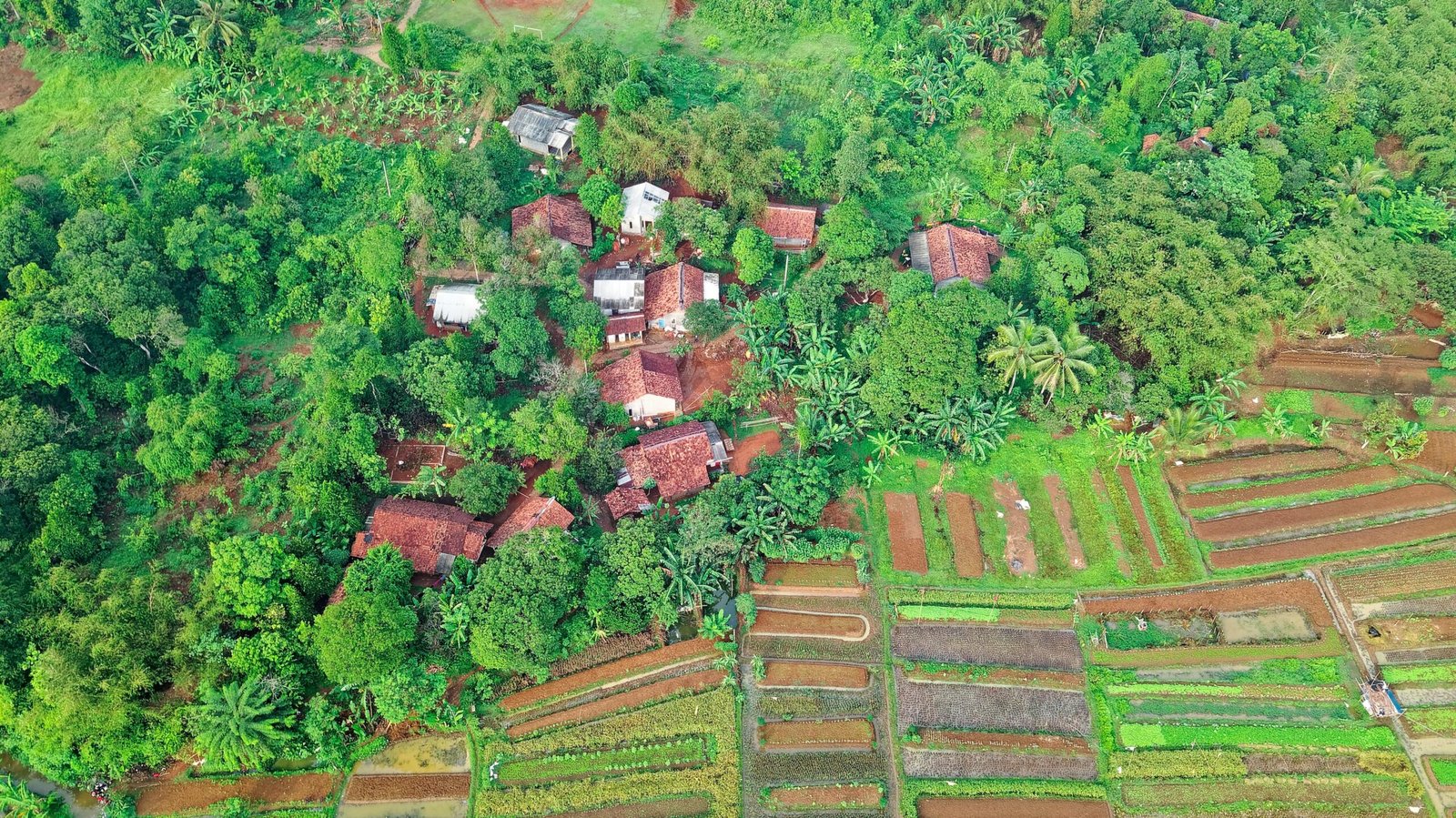 Villages that run their own green plans